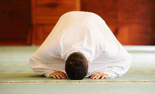 الإنسانية بين النص والخطاب الديني